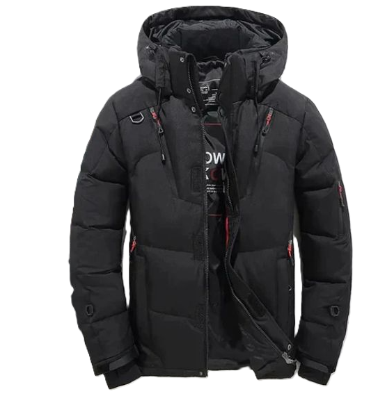 Men's Down Jacket | Winter