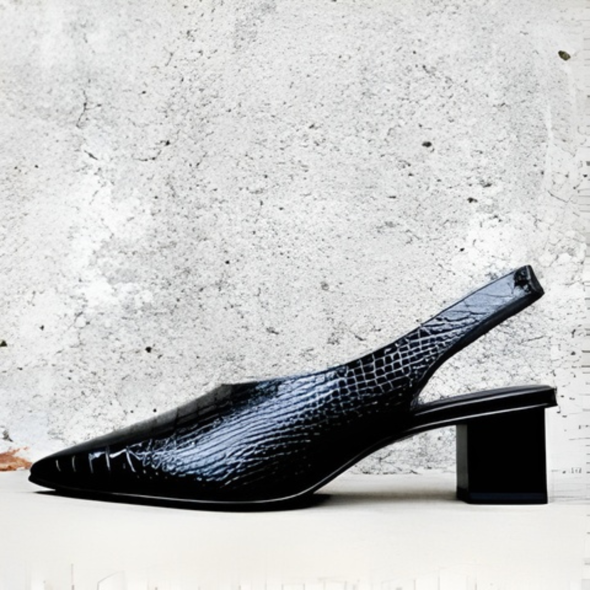 Women’s Summer Pointed Toe Slingback | Block Heel